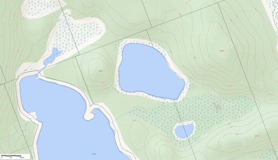 Topographical Map of Allans Lake in Municipality of Algonquin Highlands and the District of Haliburton